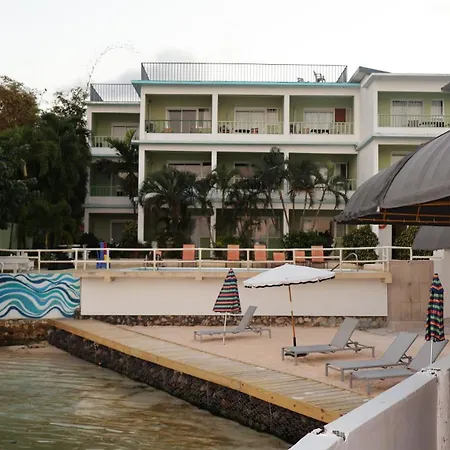 Ocean Palms
