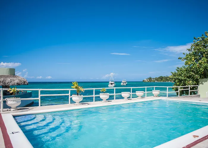 Ocean Palms